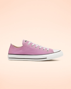 Zapatos Bajos Converse Seasonal Color Chuck Taylor All Star Para Mujer - Rosas | Spain-6284